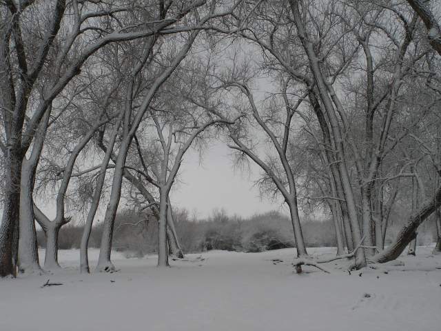 Bridgeport, NE: Snowy Field