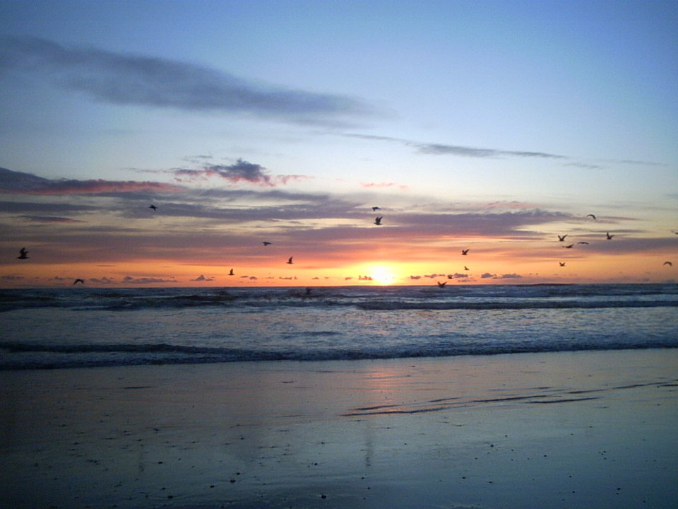 Ocean Shores, WA: Just one of the beautiful sunsets you can see every night in Ocean Shores.