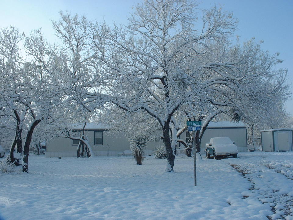 Fowlerton, TX: CHRISTMAS SNOW 2004 FOWLERTON TEXAS