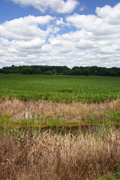 Mequon, WI: summer in mequon