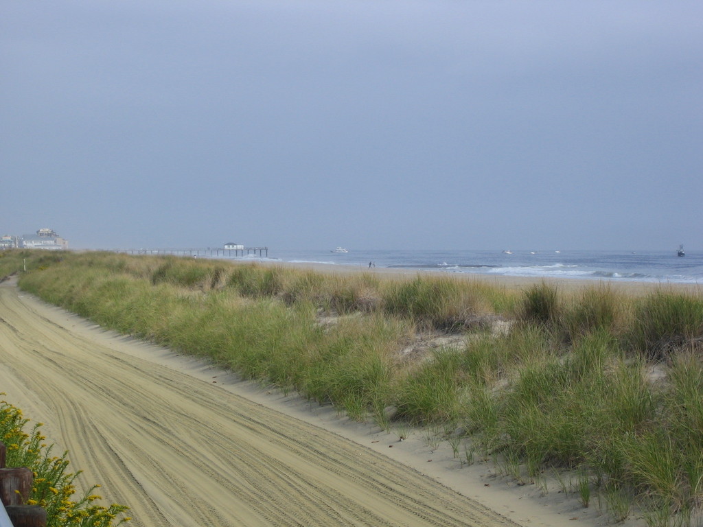 Bradley Beach, NJ: THE BEACH