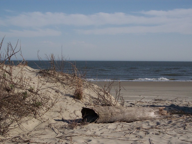 Sullivan, SC: SHot of the beach on Sullivan's Island