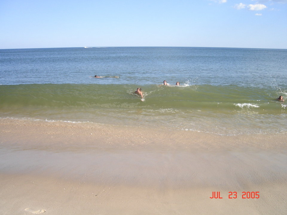 Watermill, NY: The Beauty of The East End: Ocean Beaches...