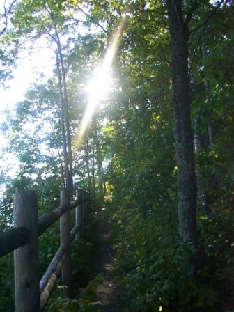 Newaygo, MI: Trail through the forest at Newaygo State Park.