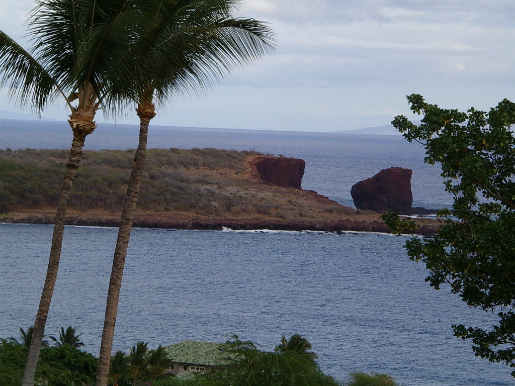 Lanai City, HI : Lanai, Sweet Heart Island photo, picture, image ...