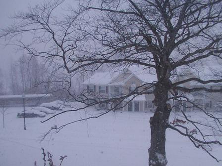 Lansing, MI: Asnowy day in Lansing, Michigan.