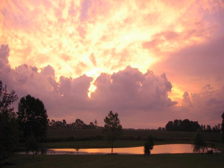 Wilmington, OH: Sycamore Glen-My Backyard View