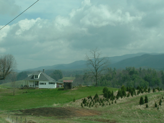 Mountain City, TN: Up near MillCreek Area