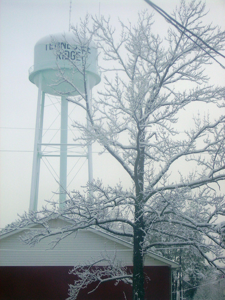 Tennessee Ridge, TN: Winter 2006 in Tennessee Ridge