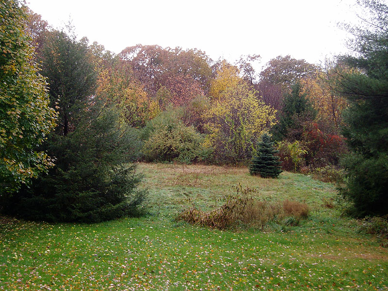 Tolland, CT: Fall Foliage