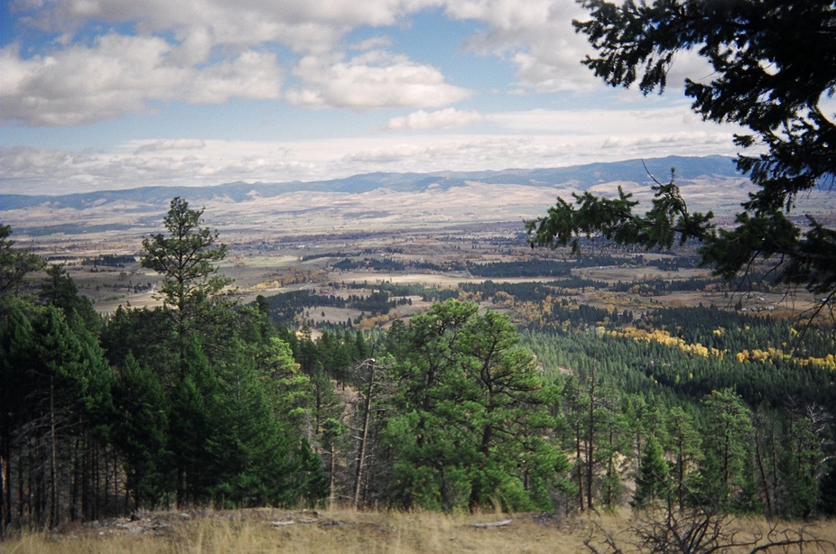 Victor, MT: up on the hill side