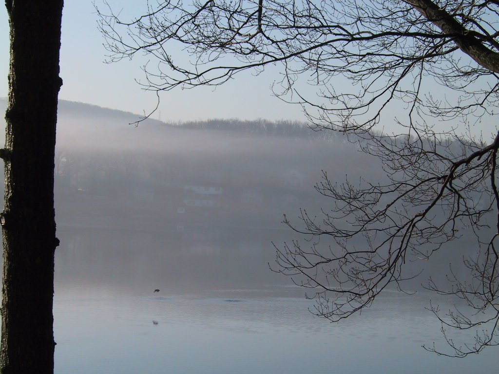 Ringwood, NJ: Bird of Prey/Erskine Lake