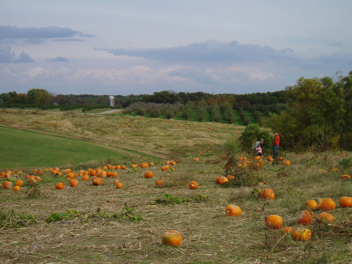 Grafton, IL: Eckhert's Farm in Grafton, IL