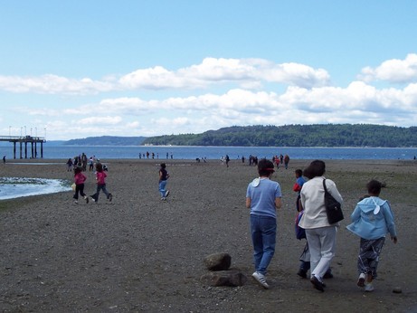 Des Moines, WA: View of the Puget Sound from Des Moines, WA