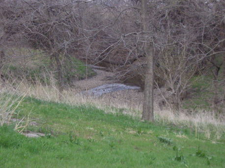 Paxico, KS: Spring Creek - Paxico, KS - Early April 2006