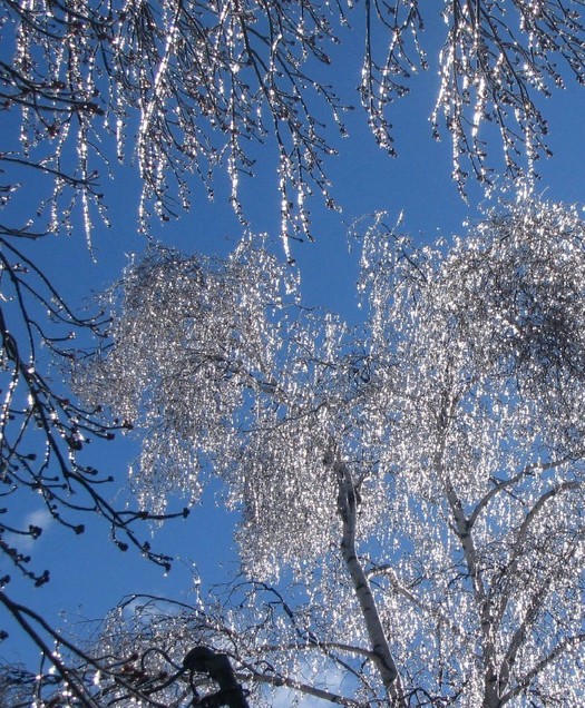 East Tawas, MI: ice storm