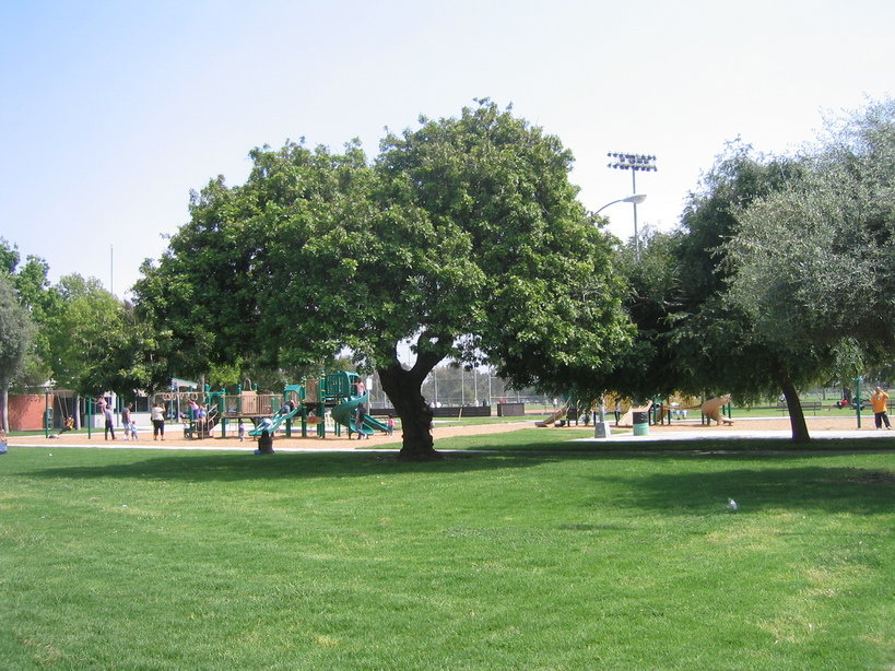 Lawndale, CA: The Alondra Park Playground