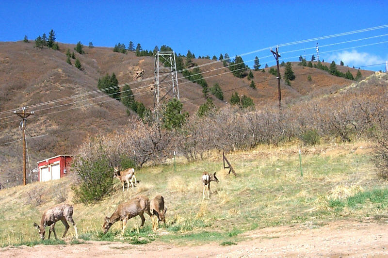 Poncha Springs, CO