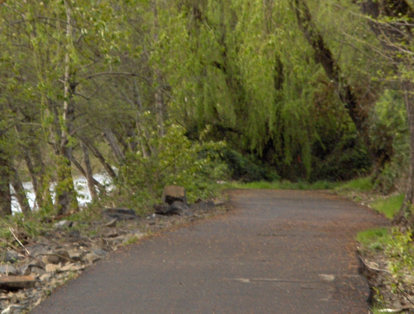 Medford, OR: Bear Creak Park Bike Trail