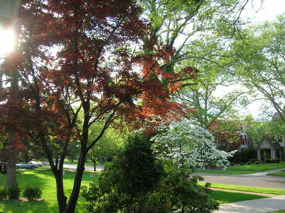 Bexley, OH: Bexley in the Spring