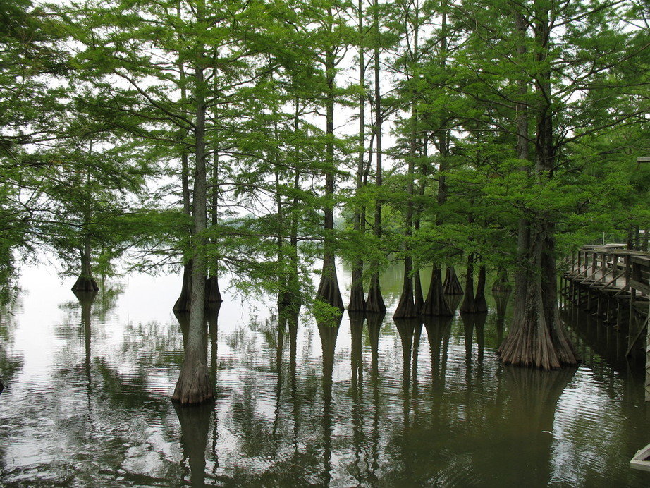 Lake Providence, LA: Lake Providence