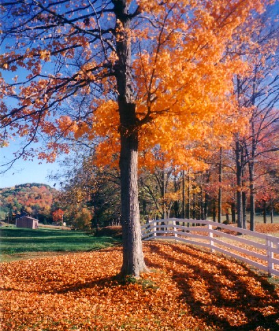 Plumville, PA: Autumn in Plumville