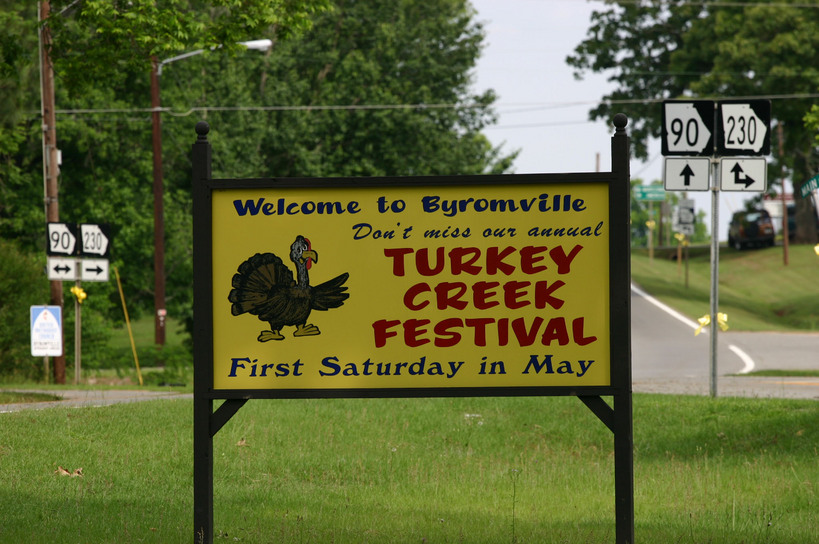 Byromville, GA: Annual Turkey Festival Sign