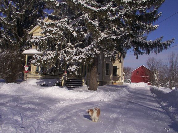 Skaneateles, NY: wINTER INsKANEATELES