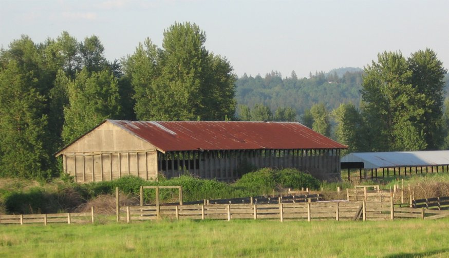 Washougal, WA: Rustic barn along the dike trail!