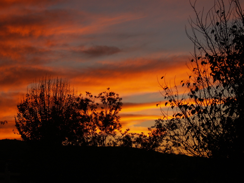 Templeton, CA: Sunset in Templeton, California