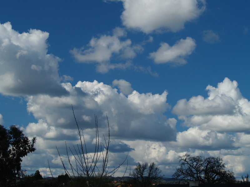 Templeton, CA: Another beautiful day