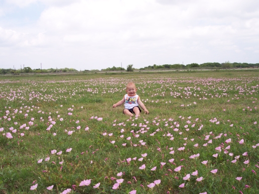 Seadrift, TX: Wildflower field near Seadrift Texas on a camping trip 2006