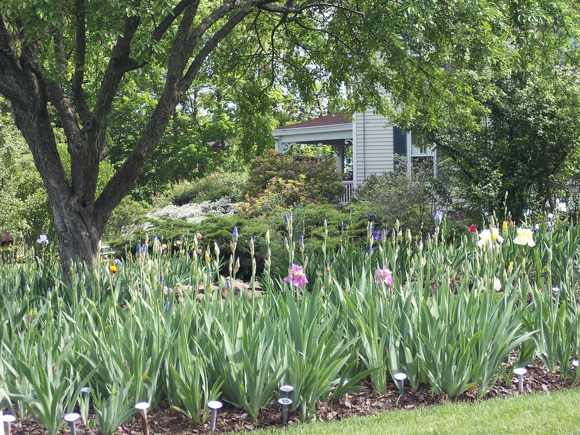 Montclair, NJ: Scene from the Presby Iris Memorial Gardens