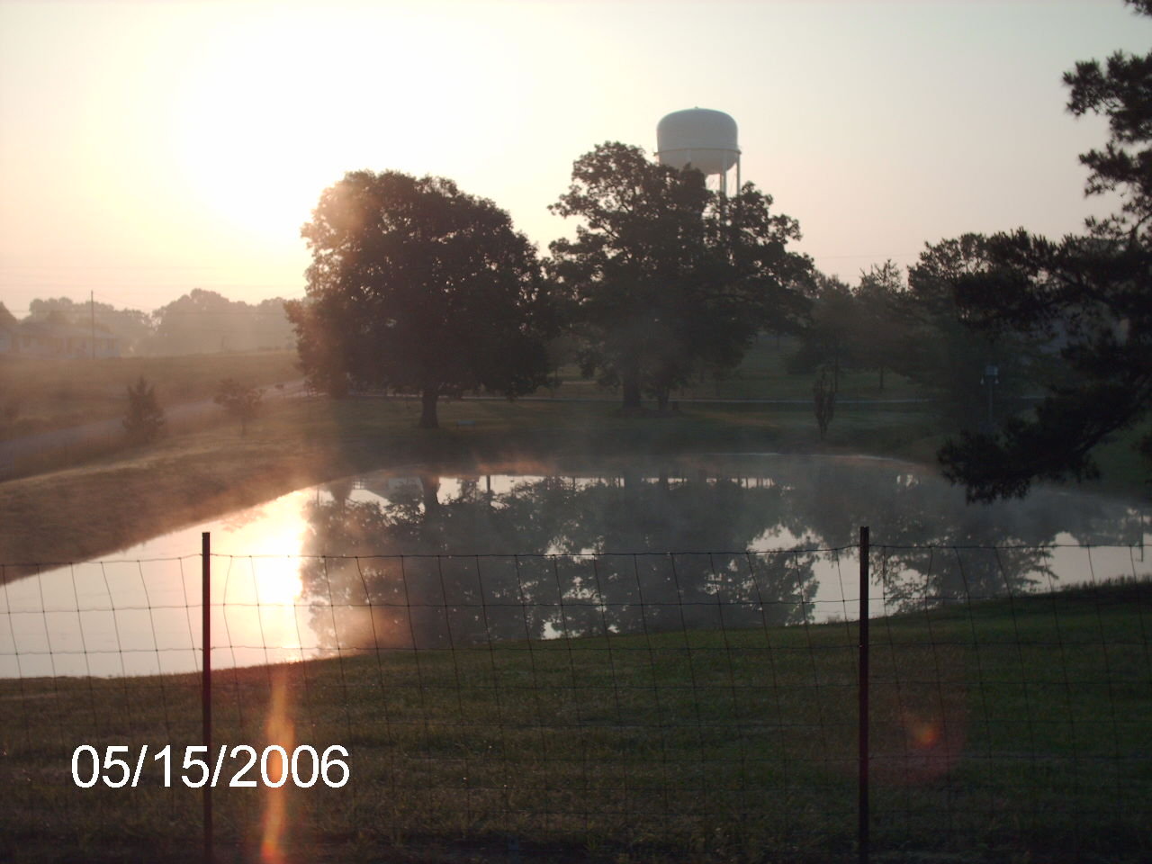 Fairview, AL: view from my backyard, couty road 1535, Fairview, Alabama