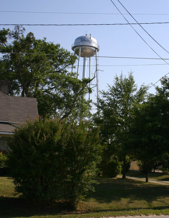 White Plains, GA Water Tower photo, picture, image at city