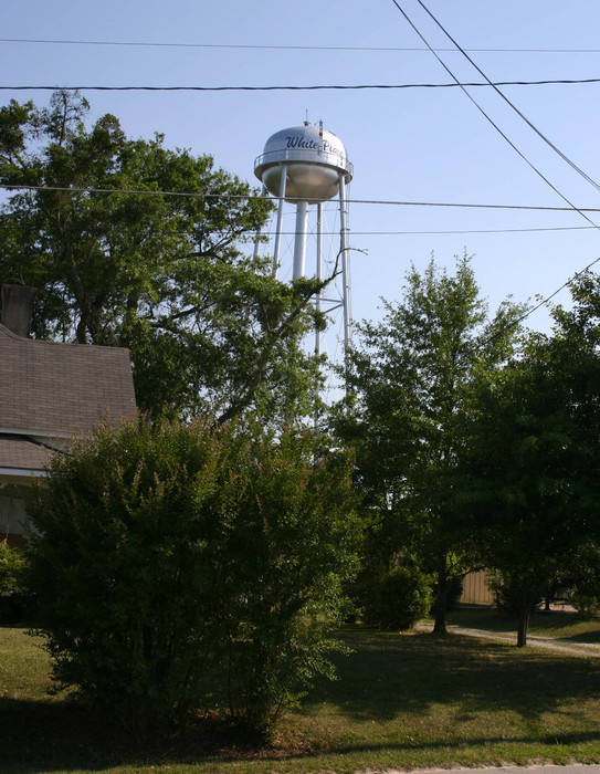 White Plains, GA: Water Tower