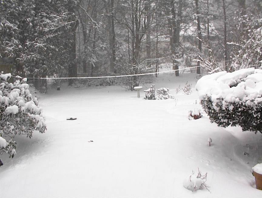 North Haven, CT: Snowy North Haven