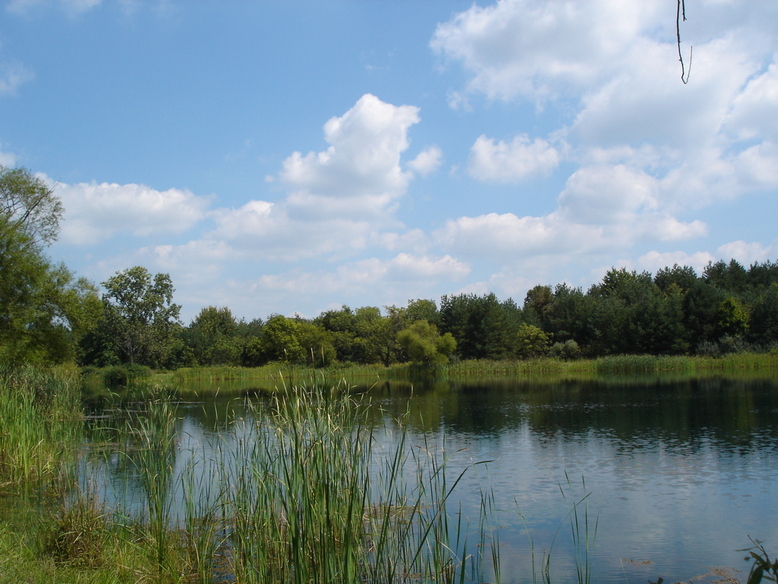 Columbus, OH: Pond at Alum Creek