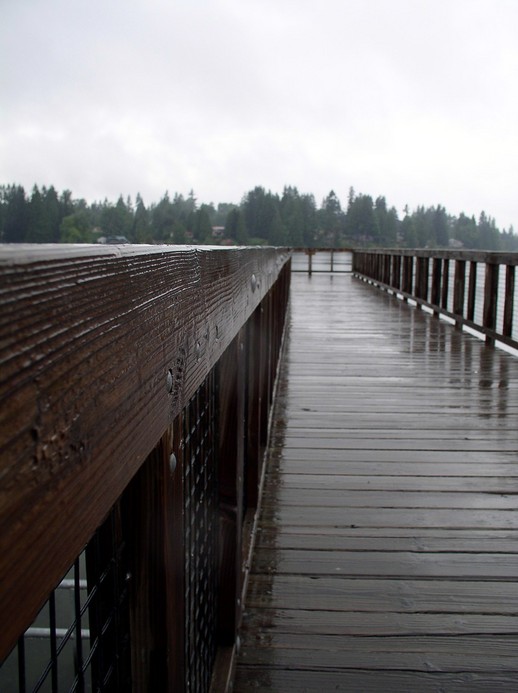 Martha Lake, WA: Splendor of Martha Lake on a Rainy Day