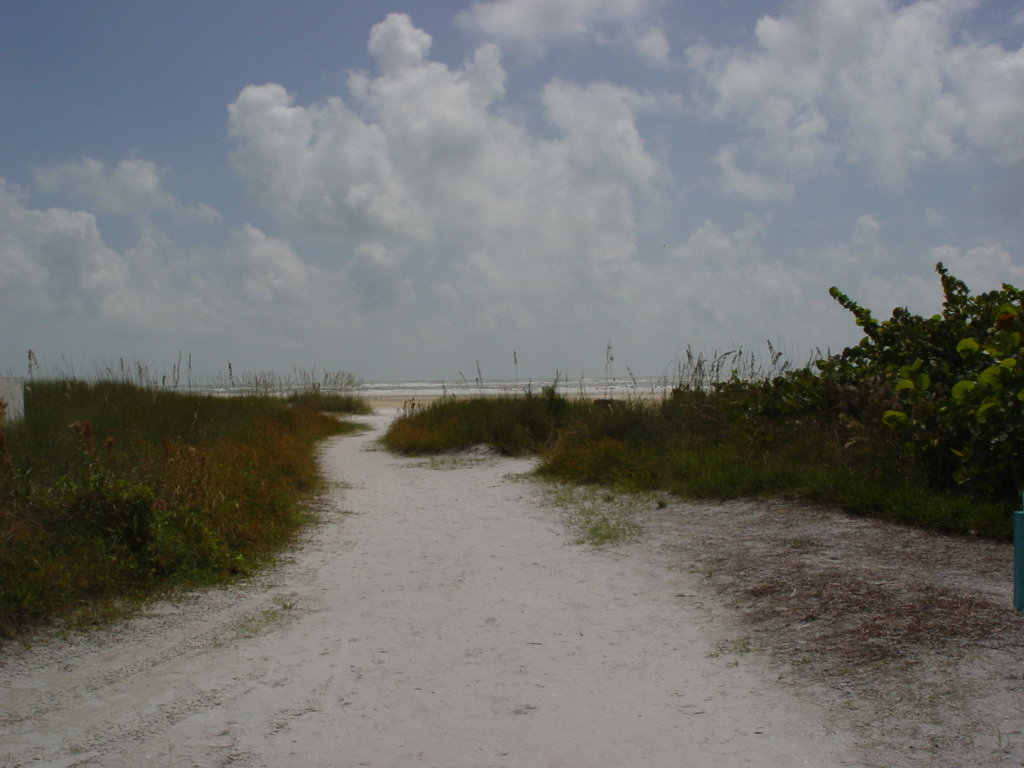 Siesta Key, FL: Trail to the beaches of Siesta Key FL