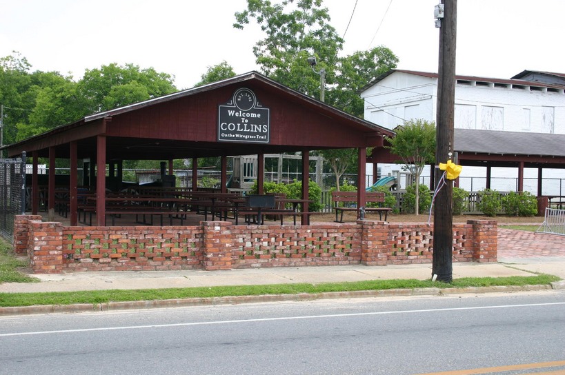 Collins, GA: City Park - Covered Eating Area