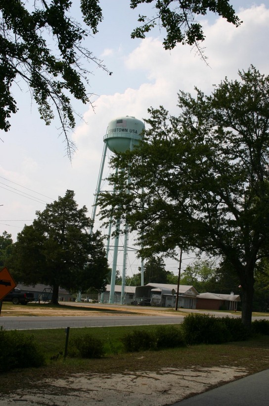 Cobbtown, GA: Water Tower