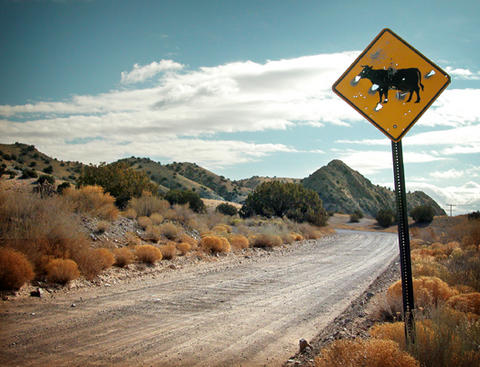 Los Cerrillos, NM: Road leading out of the town of Los Cerrillos, NM