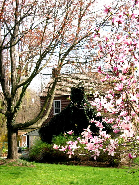 Carroll Valley, PA: Spring at an early 19th Century Homestead, Carroll Valley