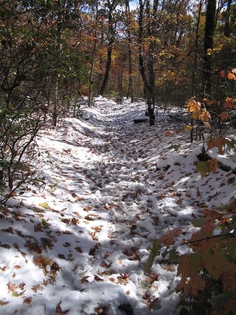 Front Royal, VA: An October 2006 Snowfall on a Skyline Trail in Front Royal, Virginia