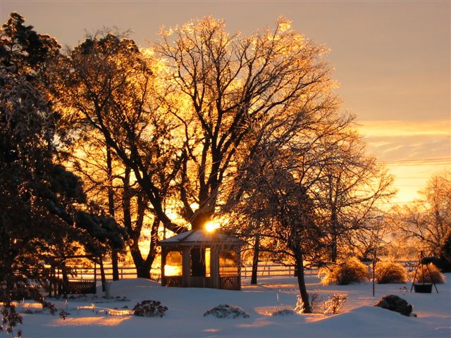 Hankinson, ND: ICE STORM SUNRISE, NOV. 2005