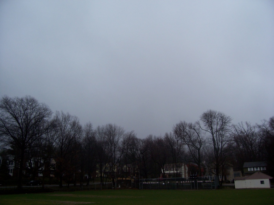 Lansdowne, PA: Concave outline of tops of trees suggest that the soaking sky is help up feebly by the thin outstretched branches; a wonderfully gray day