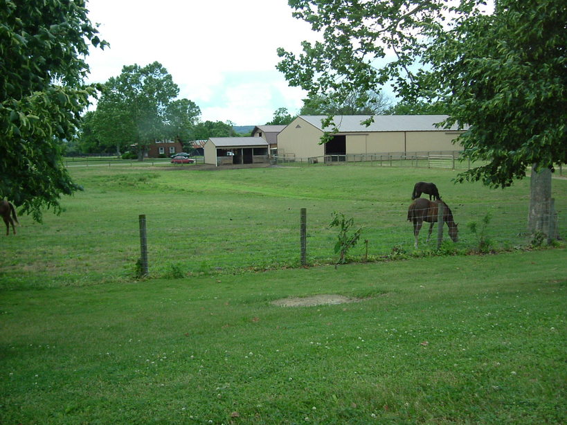 Portsmouth, OH: Horses