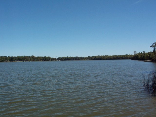 Prescott, MI: View of Hardwood Lake from public access to the east.