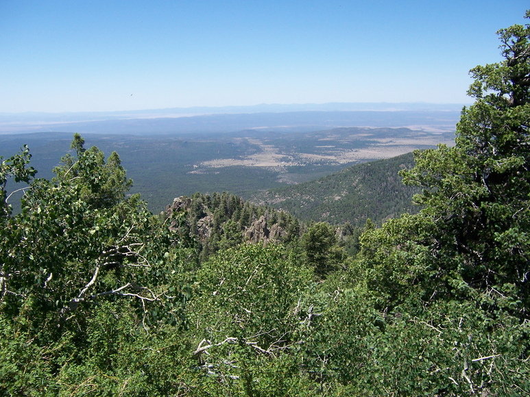 Williams, AZ: Williams from the top of Bill Williams Mountain in the ranger tower